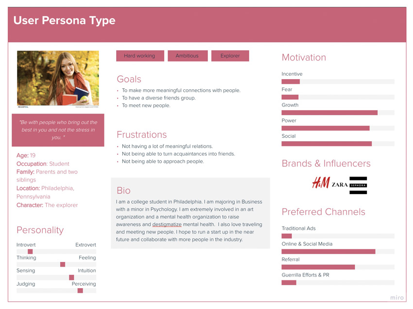 User Persona for the desired products